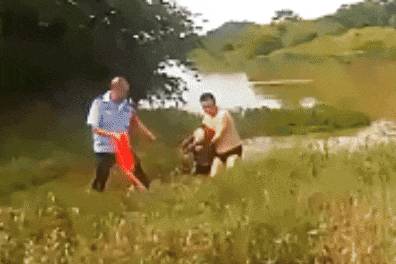 6月30日(2).gif